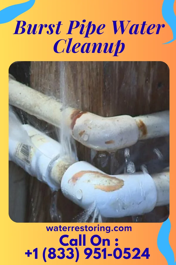 Burst Pipe Water Cleanup in Wardner, ID
