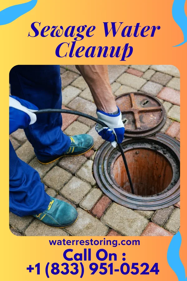 Sewage Water Cleanup in Wardner, ID