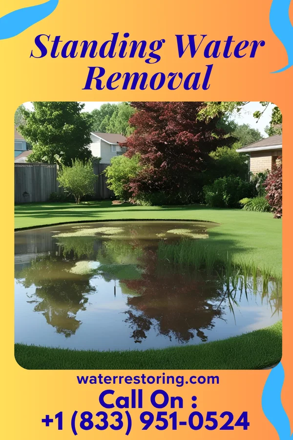 Standing Water Removal in Wardner, ID